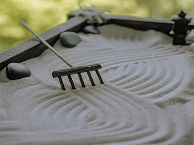 Access Sandbox Environment